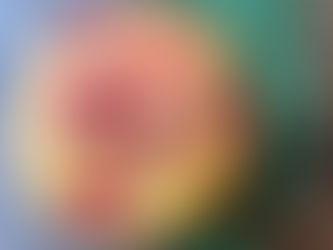 Cranberry Orange Muffin