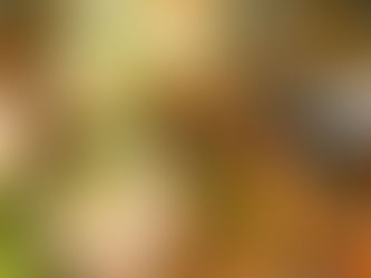 Chicken and Dumplings Soup