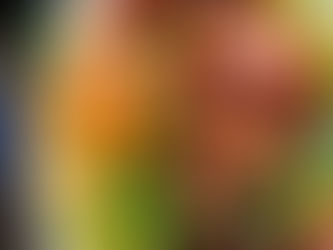 Asian Inspired Ham Bowl