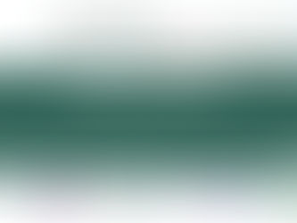 Midis de l'emploi et de la Formation - 18 Novembre de 12h à 12h30