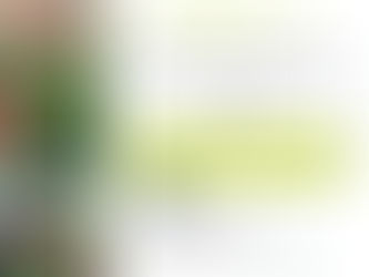 Matinée de découverte spéciale horticulture/pépinières - Jeudi 29 janvier 2026 à Angers