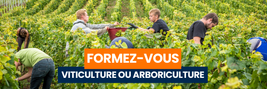 FORMEZ-VOUS EN ÉTANT SALARIÉ : Des contrats de 6 mois spécialisé dans la viticulture et l'arboriculture