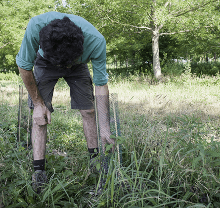 agrobiodynamie