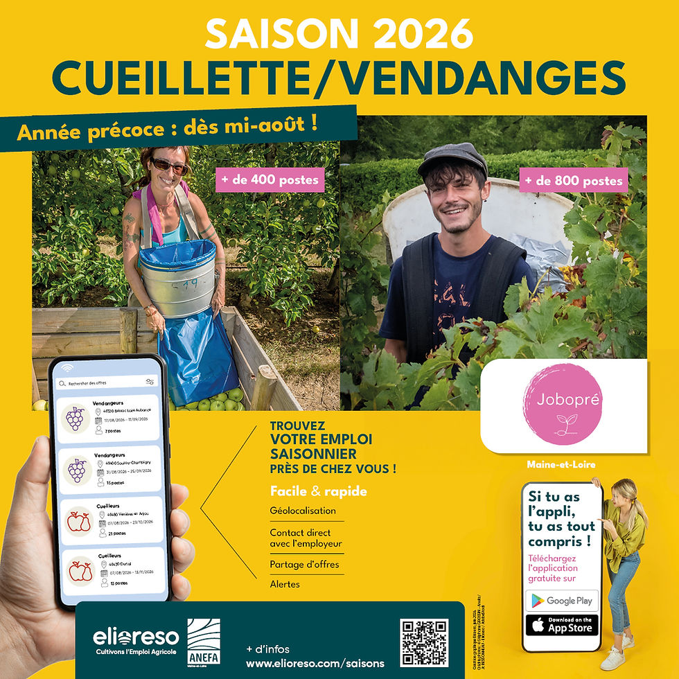        La saison 2026 s'annonce déjà exceptionnelle pour les vendanges et les cueillettes en Maine-et-Loire.