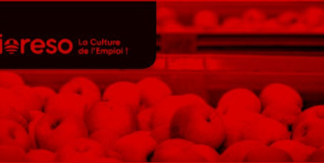 FORMATION COURTE : Eclaicissage