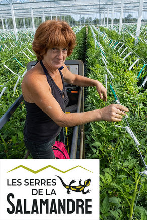 Recrutement agents serristes - Noyant-Villages (Lasse)