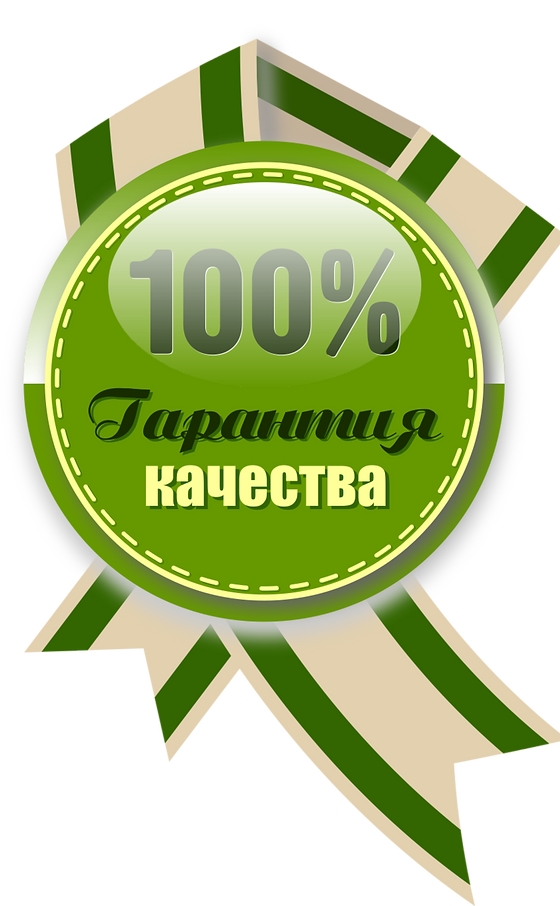 Ремонт Epson SureColor T7000, Ремонт Epson SC T7000