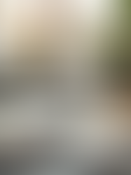 Your Journey Starts Here!