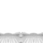 Copy of WISSENSCHAFT-4.jpg