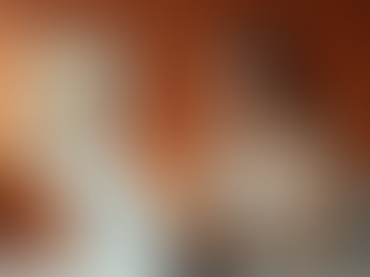 Empower Your Startup with Fractional C-Suite Experts