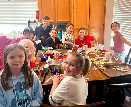 non animal projects_edited.png