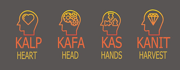 deneyimsel öğrenme metodojisini oluşturan 4 önemli adım.