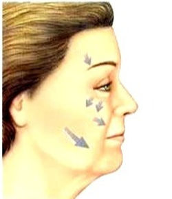 Vetores do Envelhecimento