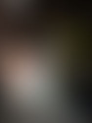 歌のような映画、映画のような歌