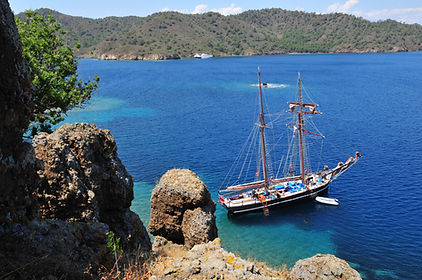 Peninsula Tours wurde 1988 in Kuşadası gegründet. Seit seiner Gründung hat das Unternehmen über 30 Jahre hinweg zahlreiche Erfolge erzielt – dank seines erstklassigen Service, den es sowohl ausländischen Gästen, die in die Türkei reisen, als auch türkischen Gästen, die ins Ausland reisen, bietet.