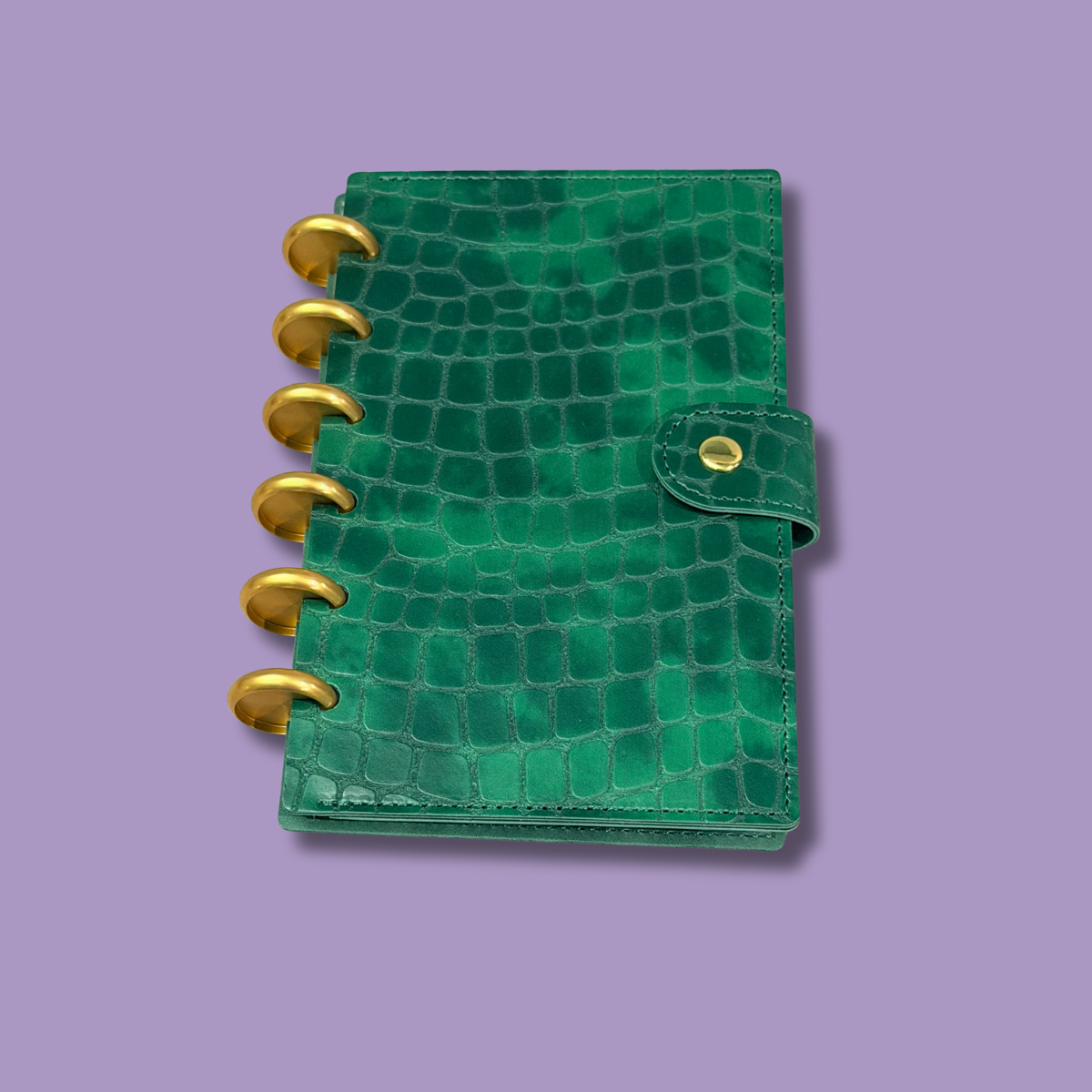 Green and Gold Disc Bound Cash Budget Wallet with 10 Money Sleeves