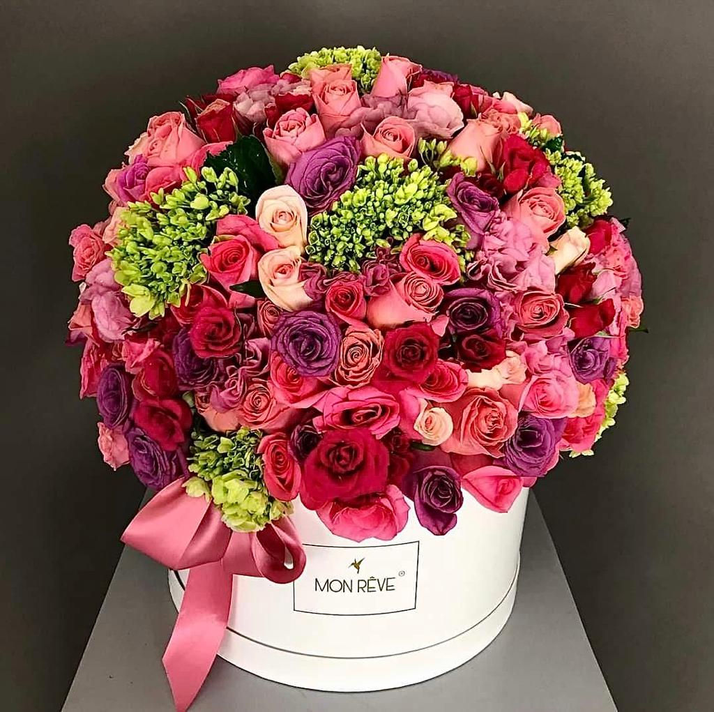 PP-PC PARIS DREAM COLOURS