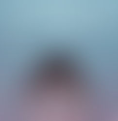 Going Full Circle (Little Bird Review)