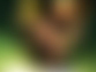 Green Arrow: War of the Clans (The Best of New52)