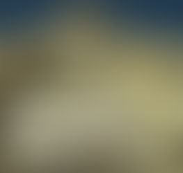 Voluntariado SCML – Estudo sobre os Impactos do Voluntariado da SCML