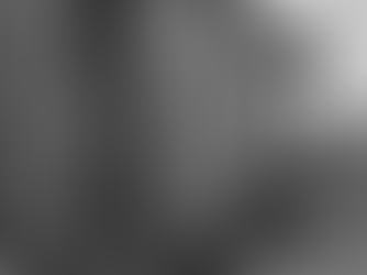 Artigo de Sandra Marques Pereira