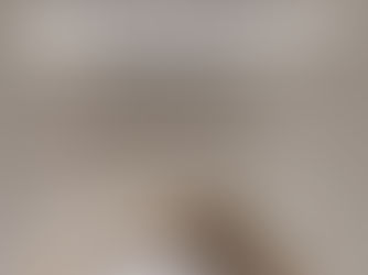 Conferência - Musealização da Área Arqueológica da Praça Nova do Castelo de São Jorge