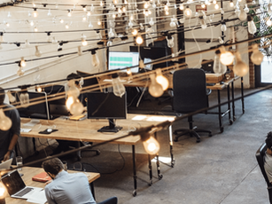 Bolsa de investigação