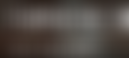 Curso de Verão - Fotografia pública impressa durante o Estado Novo