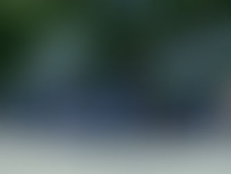 新規入団のお知らせ!
