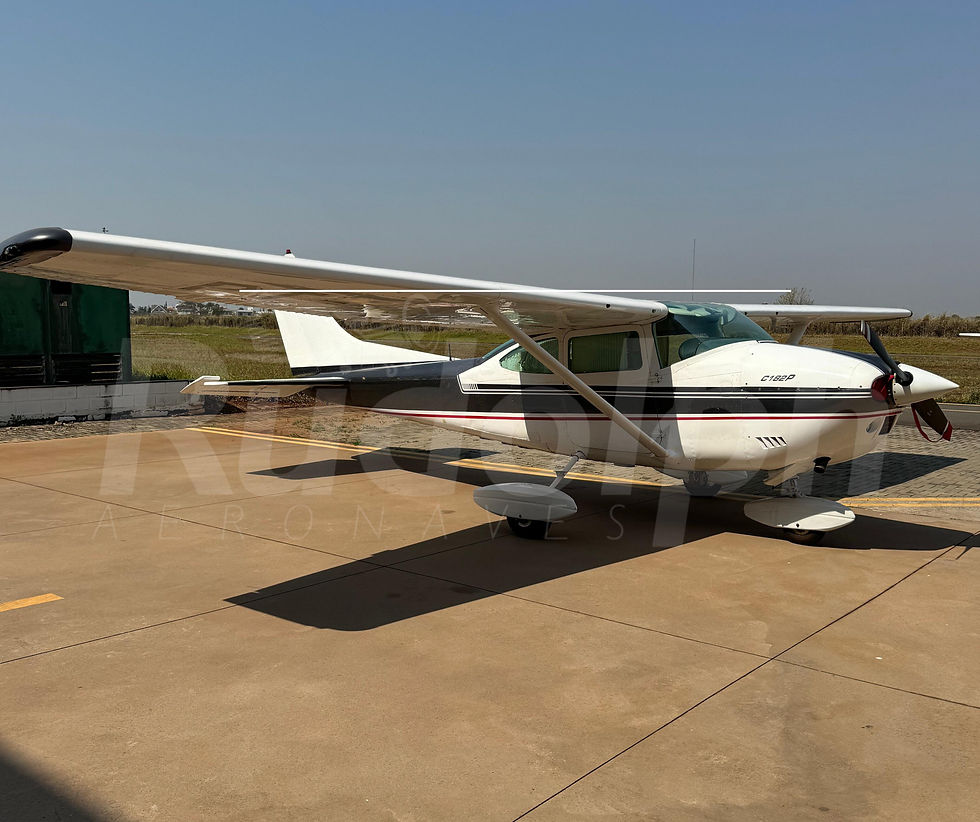 Miniatura: Cessna Skylane 182P 1974