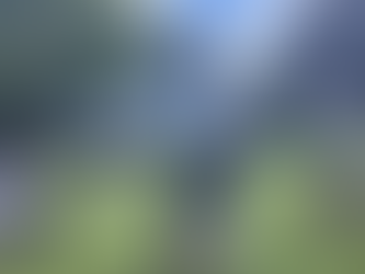 Fowey River Academy - FRA Magazine 19th July 2024