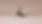 Screenshot 2023-04-12 at 11.20.43.png