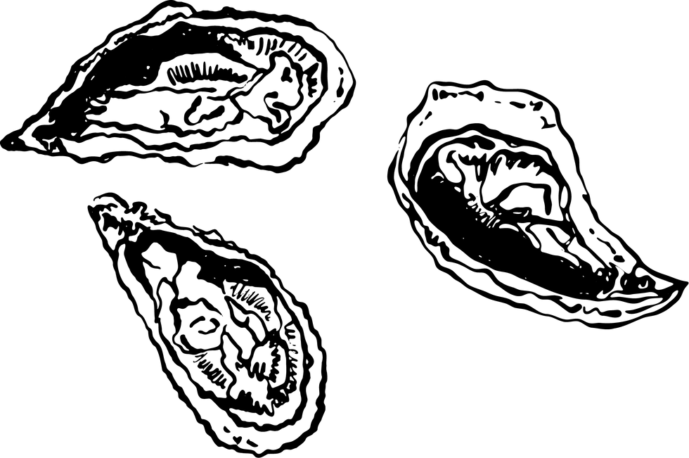 Asset 1_3x.png