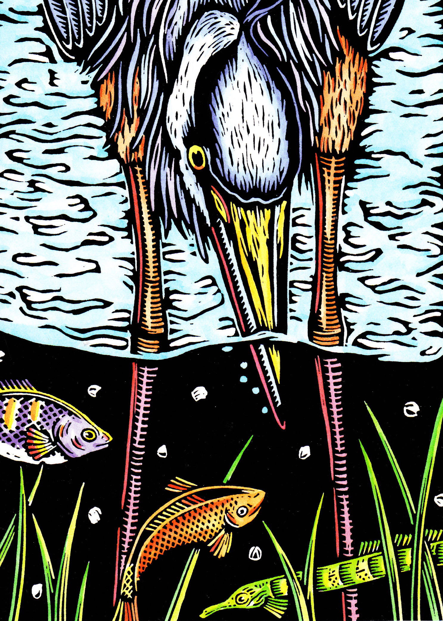 Great Blue Heron | small notecard