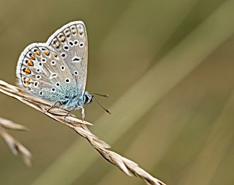 Sortie Macro 2018
