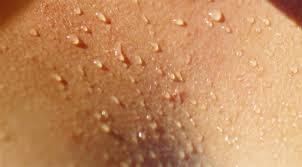 What Sweat Really Is: The Fluid That Keeps You Alive in the Heat