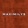Starters advies Gino Vermeulen horecacoach voor Maximilys