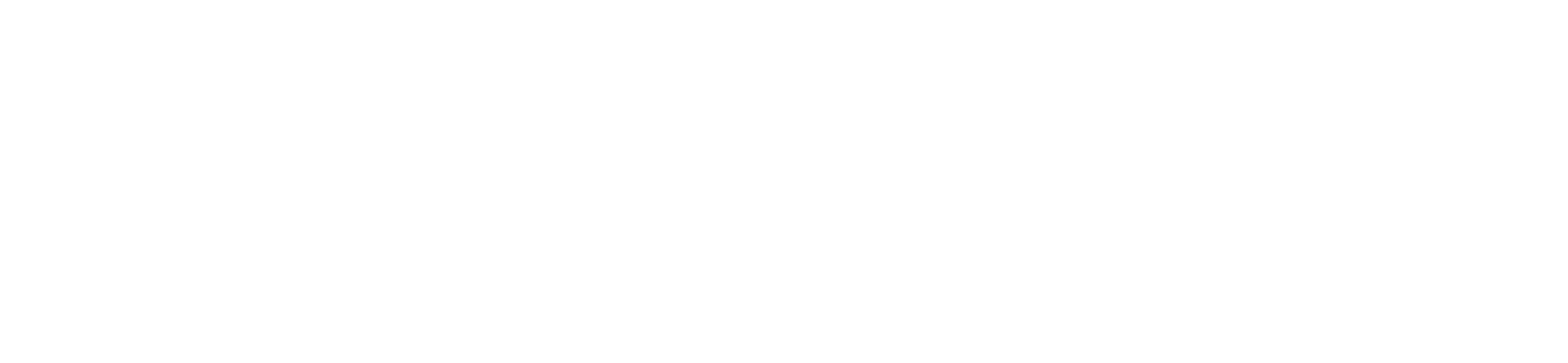 Logo_Maggiore Lake Experience