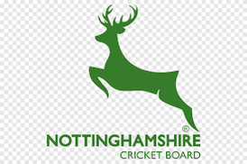 Nottinghamshire Cricket Board