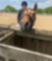 A woman riding a horse.