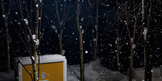 A set designed to look like a snowy forest.