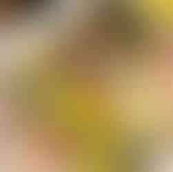 Artischocken Winter-Rezept mit Frisée-Salat vegan