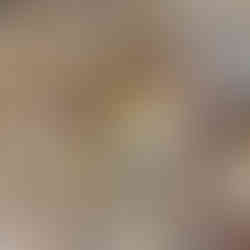 Junger Steinpilz im Wald kurz vor dem Sammeln für das Steinpilz Carpaccio