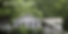 TF Insurance Defense Page Header.png