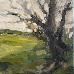 field's edge