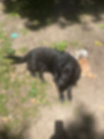 IMG_2780.jpeg