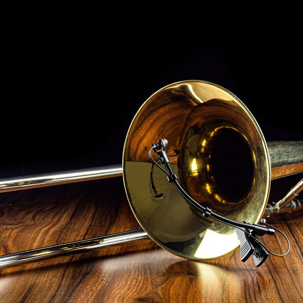 Thumbnail: SEM-02 on Trombone and brass instruments