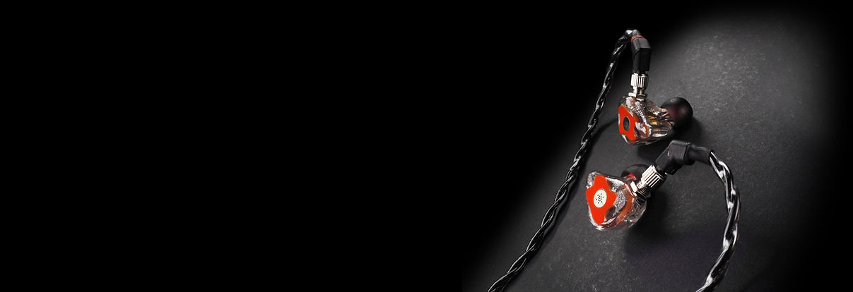 BIEM banner user guide 3.jpg