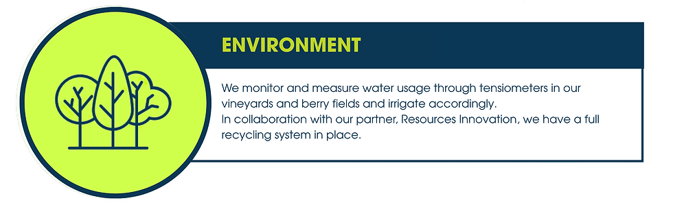 By den Weg social media graphics (8).png