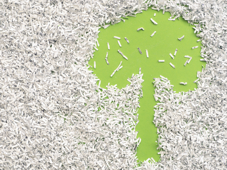 7 Reasons Why Your Business Needs a Secure Shredding Service
